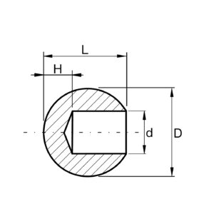 z-slepka-v-plne-nelak-buk-beech_4